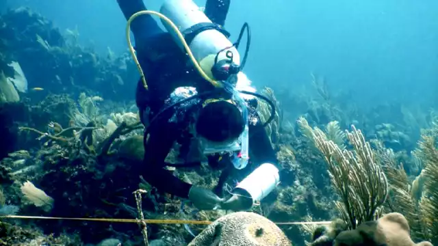 Solidaridad se posiciona como  el municipio del Norte de Quintana Roo con el mayor aporte de nutrientes contaminantes al mar