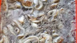 Pescadores de Campeche amenazan con quemar lanchas por pesca ilegal de pulpo