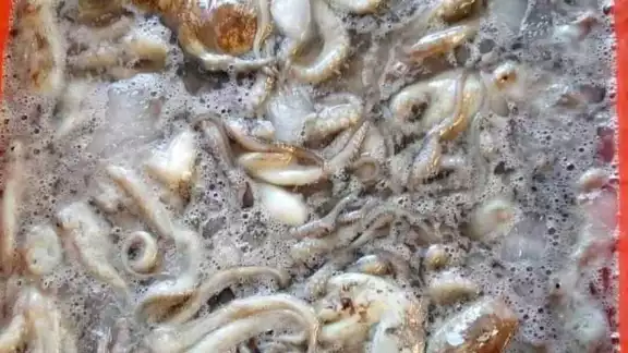 Ir en busca del molusco ya no es redituable para quienes viven del producto del mar.