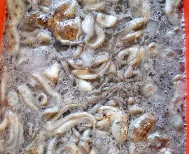 Ir en busca del molusco ya no es redituable para quienes viven del producto del mar.