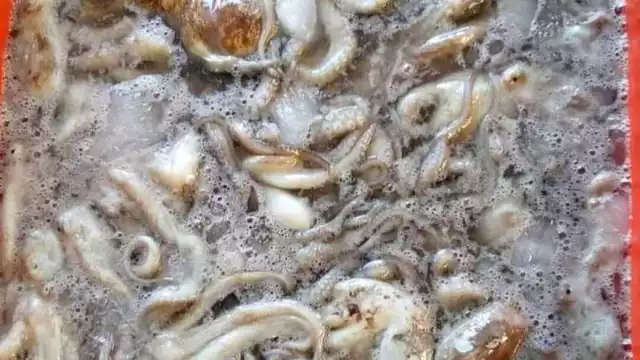 Ir en busca del molusco ya no es redituable para quienes viven del producto del mar.