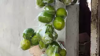 as condiciones meteorológicas, como las bajas temperaturas, han afectado la producción, generando escasez.