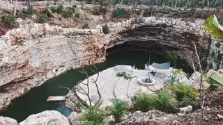 Perforan cenote y destruyen hábitat de especies nativas: clausuran obra turística ilegal en Yucatán