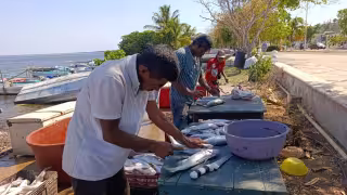 Sector pesquero teme suspensión de actividades por contaminación
