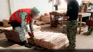 Profepa clausuró temporalmente un aserradero en Escárcega, Campeche.