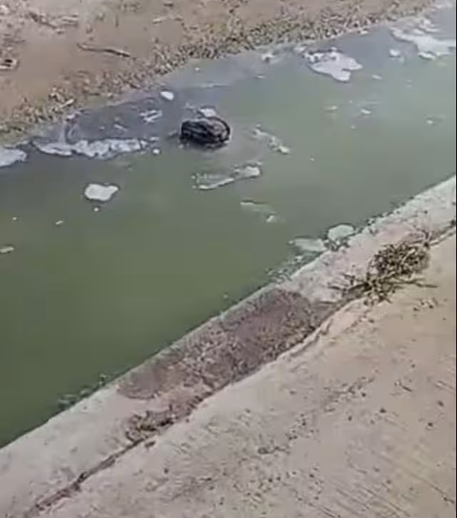 Vecinos de la colonia Américas 3 denuncian aguas negras a CAPA.