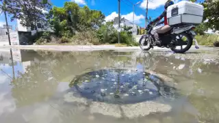 El mal olor de las aguas incomoda a los vecinos, teniendo que cerrar sus ventanas 