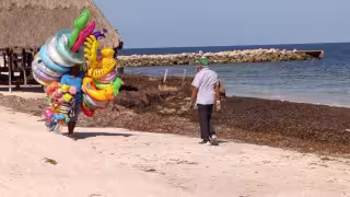 Confirman playas limpias en Campeche: sin riesgo para turistas