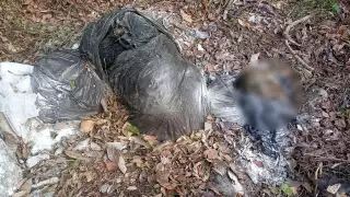 Autoridades continúan las investigaciones en torno al caso