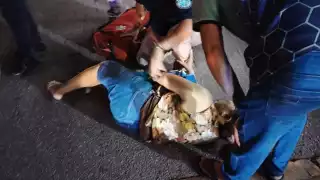 Mujer sufre dos fracturas tras ser atropellada en paso peatonal de Mérida   