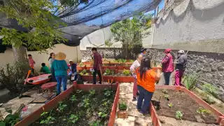Los huertos de traspatio llevan bienestar al medio rural