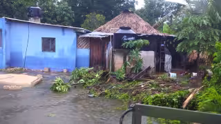Urgen a intensificar las labores de brigadas sanitarias