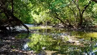Dirección de Medio Ambiente tendría abiertos 10 expedientes por contaminación de cuerpos acuíferos