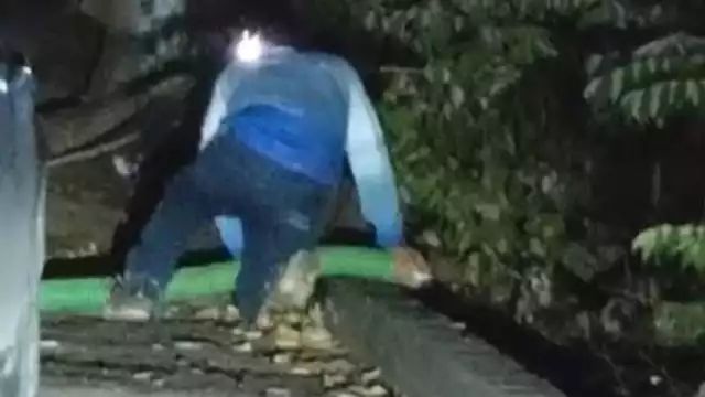 Una ciudadana que transitaba por la zona denunció el suceso