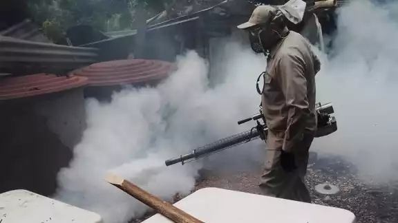 Dengue en descenso: solo 14 casos en 2025, comparado con 488 en 2024 Dengue en descenso: solo 14 casos en 2025, comparado con 488 en 2024