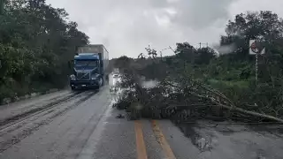 Se registran encharcamientos y caída de árboles tras fuertes lluvias en Champotón