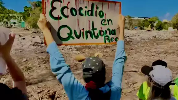 El resolutivo inicial establecía de un programa de reubicación de fauna silvestre, requisito que no fue cumplido por los responsables del proyecto