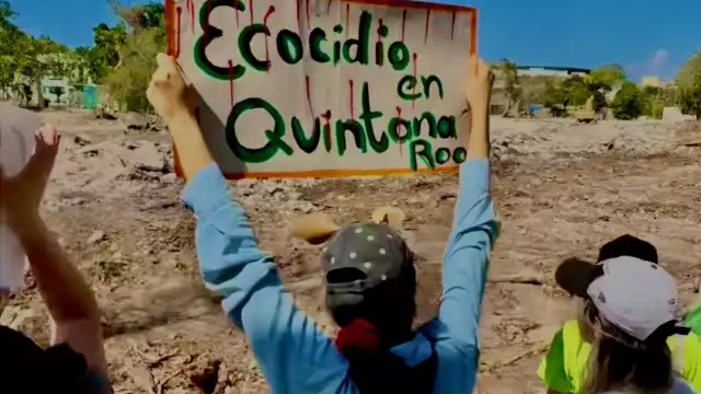 El resolutivo inicial establecía de un programa de reubicación de fauna silvestre, requisito que no fue cumplido por los responsables del proyecto