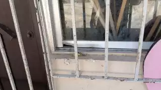 Amantes de lo ajeno ingresan a primaria en Campeche y se roban dos cámaras de seguridad