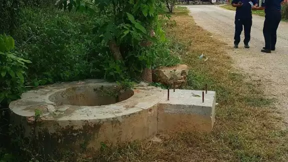 Las víctimas combatían plaga de hormigas en el patio de su casa; uno cayó y el otro intentó salvarlo