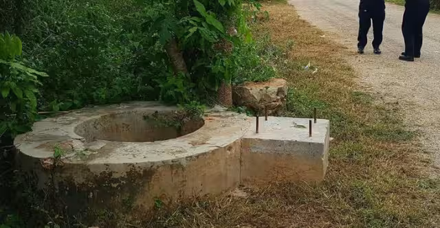 Las víctimas combatían plaga de hormigas en el patio de su casa; uno cayó y el otro intentó salvarlo