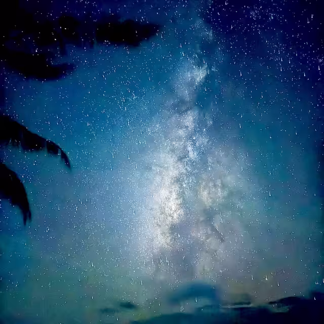 Los recorridos que ofrecen prestadores de servicios tienen un costo promedio de 300 pesos por persona