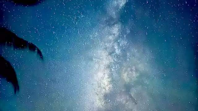 Los recorridos que ofrecen prestadores de servicios tienen un costo promedio de 300 pesos por persona