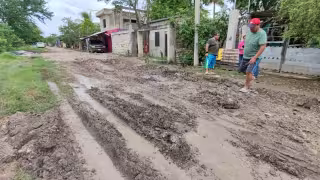 Mosquitos y riesgo de dengue por estancamiento en colonia de Campeche