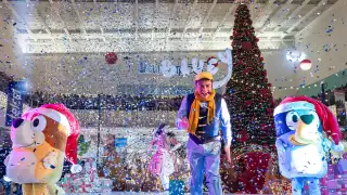 Encenderán árbol navideño en plaza de Campeche; ¿cuándo será? conoce los detalles