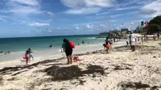 Ruta Mar en Cancún: Horarios y recorridos de los transportes para llegar rápido y seguro a las playas