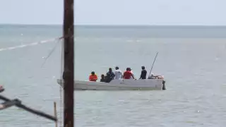 Piden frenar depredación del pulpo en Champotón con bloque pesquero unificado   