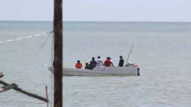 José Martínez Aguilar “La Pantera” pidió formar un bloque único para defender el pulpo maya y otras especies.