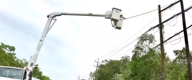 La CFE culpó a los árboles que están cerca de los cables de alta tensión en Álvaro Obregón