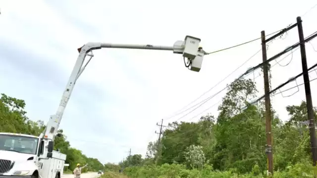 La CFE culpó a los árboles que están cerca de los cables de alta tensión en Álvaro Obregón