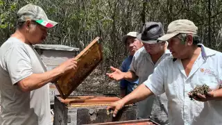 Se espera que próximamente la Federación concrete la suspensión definitiva de sustancias peligrosas para los ecosistemas