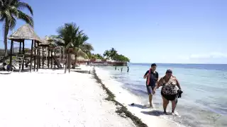 Las playas con alerta son Delfines, Chac-mool, Langosta, Pez volador y Caracol