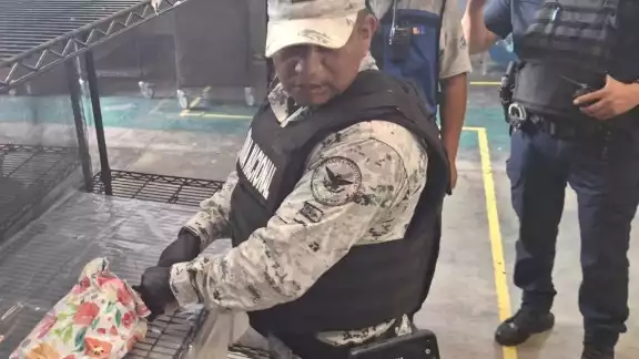 Detectan presunta droga en paquete de mensajería en Campeche Detectan presunta droga en paquete de mensajería en Campeche
