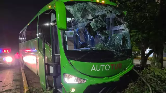 Un camión de transporte público se salió del camino y chocó contra árboles en la avenida Tulum.