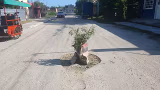 “Adornan” bache en Escárcega para evidenciar abandono de autoridades