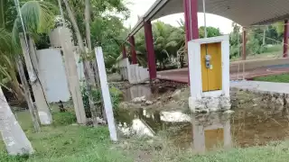 Tras las lluvias, los terrenos se vuelven grandes concentraciones de mosquitos