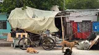 Retiran toneladas de basura en otro predio de Mérida y logran rescatar a cuatro perros