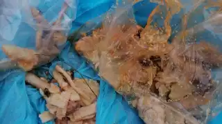 Reportan casos de envenenamiento de animales en Carlos A. Madrazo