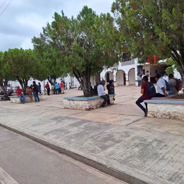 Los productores esperan reunirse con el presidente municipal Erick Borges Yam y con ejecutivos de la CFE