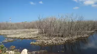 La Reserva de la Biósfera de Ría Lagartos ha sido afectada de manera negativa por las actividades humanas
