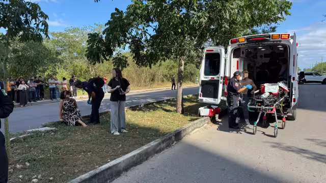 Bomberos de la SSP Yucatán atendieron el siniestro presentado la tarde de este jueves al norte de Mérida, no se registran lesionados