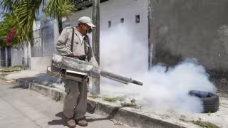 Quintana Roo sumó 20 nuevos casos de dengue en la última semana.