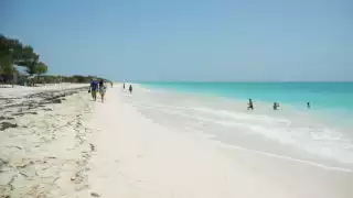 Opciones de transporte para llegar  a Isla Blanca desde Cancún