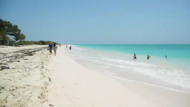 Opciones de transporte para llegar a Isla Blanca desde Cancún