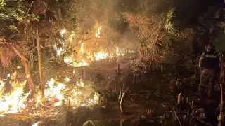 Incendio forestal en Lázaro Cárdenas toma fuerza: En 24 horas pasó de 200 a 400 hectáreas arrasadas