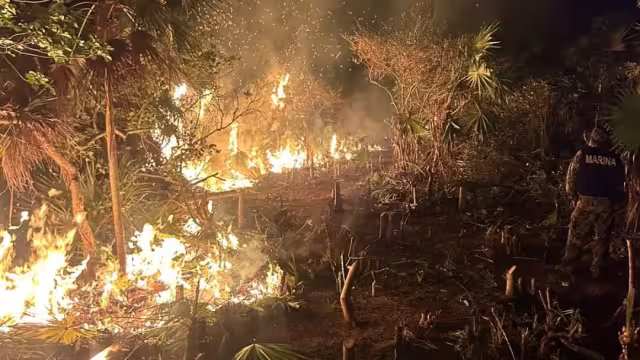 Lamentan pobladores que, hasta el momento, el Gobierno no ha informado qué origino la ignición en La Ensenada.